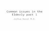 Common issues in the Elderly part 1 Joshua Huval M.D.