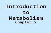 Introduction to Metabolism Chapter 6. Metabolism u The totality of an organism’s chemical processes. u Concerned with managing the material and energy.