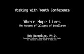 Working with Youth Conference Where Hope Lives The Anatomy of Cultures of Excellence Bob Bertolino, Ph.D. Associate Professor, Maryville University-St.