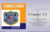 © 2007 The McGraw-Hill Companies, Inc. All rights reserved. McGraw-Hill Chapter 13 Prison Issues and Concerns: Security, Privatization, Technology, and.