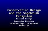 Conservation Design and the Sagebrush Ecosystem Russell George Executive Director Colorado Dept. of Natural Resources.