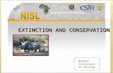 EXTINCTION AND CONSERVATION BCB341: Conservation Biology.
