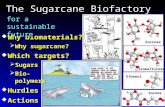 The Sugarcane Biofactory  Why biomaterials?  Why sugarcane?  Which targets?  Sugars  Bio- polymers  Hurdles  Actions Sucrose Sorona Isomaltulose.