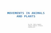 MOVEMENTS IN ANIMALS AND PLANTS By Ms. Mita Wagle Pawar Public School Kandivali.