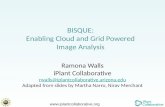 Www.iplantcollaborative.org BISQUE: Enabling Cloud and Grid Powered Image Analysis Ramona Walls iPlant Collaborative rwalls@iplantcollaborative.arizona.edu.
