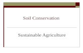 Soil Conservation Sustainable Agriculture. Major Agricultural Problems-SOIL  Erosion = loss of soil particles due to water and wind action  Over-cultivation.