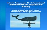 Natural Resources: The International Convention for the Regulation of Whaling Nicky Grandy, Secretary to the International Whaling Commission.