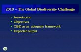 CBD 2010 – The Global Biodiversity Challenge Introduction Objectives CBD as an adequate framework Expected output.