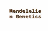 Mendelelian Genetics Gregor Mendel (1822-1884) Called the “Father of Genetics" Responsible for the laws governing Inheritance of Traits.
