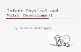 Infant Physical and Motor Development By Jessica Rodriguez.