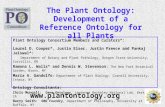 The Plant Ontology: Development of a Reference Ontology for all Plants  Plant Ontology Consortium Members and Curators*: Laurel D.