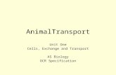 AnimalTransport Unit One Cells, Exchange and Transport AS Biology OCR Specification.