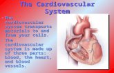 The Cardiovascular System The cardiovascular system transports materials to and from your cells.The cardiovascular system transports materials to and from.