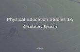 MSC PES 1A 1 Physical Education Studies 1A Circulatory System.