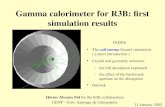 Gamma calorimeter for R3B: first simulation results INDEX ● The calGamma Geant4 simulation ( a short introduction ) ● Crystal and geometry selection: –
