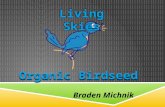Braden Michnik. PRODUCT  Certified organic birdseed  Blended for canaries, budgies, and finches  Ingredients: mixture of organic canary seed, millet,