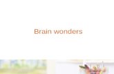 Brain wonders. Understanding the architecture of the brain and how human relationships and the environment impact on brain development is critical for.