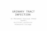 URINARY TRACT INFECTION Dr.Mohammed Sharique Ahmed Quadri Assistant professor Almaarefa College.