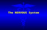 The NERVOUS System. Functions of the Nervous System l Sensory –senses stimuli from both within the body and from the external environment l Integrative.
