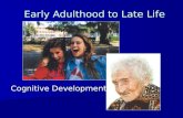 Cognitive Development Early Adulthood to Late Life.