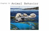 Animal Behavior Chapter 51. Behavior is what an animal does and how it does it. What is Behavior?