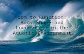 Form to Function: Body Shape and Locomotion in the Aquatic Environment.