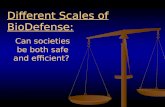 Can societies be both safe and efficient? Different Scales of BioDefense: