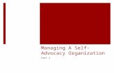 Managing A Self- Advocacy Organization Part 2. Recap  4 things go into managing an organization:  1: Project management  2: Delegation and chains of.