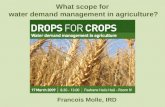 Francois Molle, IRD What scope for water demand management in agriculture?