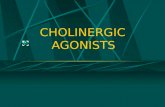 CHOLINERGIC AGONISTS. DIRECT ACTING Acetyl choline Bethanecol Carbachol cevimeline pilocarpine.