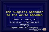 Drexel University College of Medicine The Surgical Approach to the Acute Abdomen David E. Stein, MD Division of Colorectal Surgery Department of Surgery.