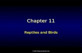 © 2006 Thomson-Brooks Cole Chapter 11 Reptiles and Birds.
