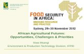 African Agricultural Futures: Opportunities, Challenges & Priorities Siwa Msangi Environment & Production Technology Division, IFPRI.