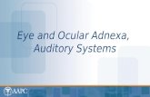 Eye and Ocular Adnexa, Auditory Systems. CPT® copyright 2012 American Medical Association. All rights reserved. Fee schedules, relative value units, conversion.