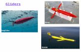 Seaglider Spray Slocum Gliders. Autonomous platforms/underwater vehicles Buoyancy driven by battery (or thermal) powered hydraulic pumps –Vary their volume.