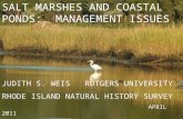 Issues for coastal marshes and ponds Judith S. Weis Rutgers University RI Natural History Survey 2011 SALT MARSHES AND COASTAL PONDS: MANAGEMENT ISSUES.