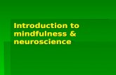 Introduction to mindfulness & neuroscience. What is mindfulness  ‘the clear and single minded awareness of what happens to us and in us at the successive.