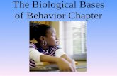 The Biological Bases of Behavior Chapter. The Brain Module 07.