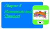Chapter 5 Homeostasis and Transport. Homeostasis & Transport BIG IDEAS: Cell Membranes help organisms maintain homeostasis by controlling what substances.