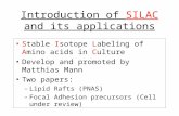 Introduction of SILAC and its applications Stable Isotope Labeling of Amino acids in Culture Develop and promoted by Matthias Mann Two papers: –Lipid Rafts.