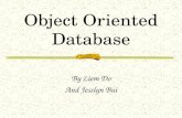Object Oriented Database By Liem Do And Jesslyn Bui.