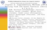 Chapter 4: Supplementary Methods and GPG Arising from the Kyoto Protocol (Sections 4.1 & 4.2) CLA: Bernhard Schlamadinger (Austria), Henry Janzen (Canada),