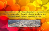 Reduction of Uranium(VI) under Micro-aerobic Conditions using an Indigenous Mine Consortium University of Pretoria Energy Postgraduate Conference 2013.