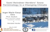 Sami Reindeer Herders’ Snow Terminology in a Changing Climate Inger Marie Gaup Eira Ph.D. Student Sami University College, Kautokeino, Norway & Reindeer.