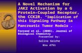 A Novel Mechanism for JAK2 Activation by a G Protein-Coupled Receptor, the CCK2R. “Implication of this Signaling Pathway in Pancreatic Tumor Models”. Ferrand.
