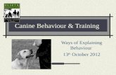 Canine Behaviour & Training Ways of Explaining Behaviour 13 th October 2012.