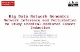 Big Data Network Genomics Network Inference and Perturbation to Study Chemical-Mediated Cancer Induction Stefano Monti smonti@bu.edu Section of Computational.