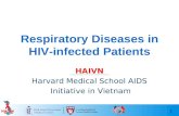 1 Respiratory Diseases in HIV-infected Patients HAIVN Harvard Medical School AIDS Initiative in Vietnam.