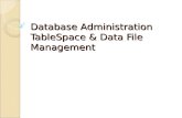 Database Administration TableSpace & Data File Management.