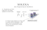 SOLEXA aka: Sequencing by Synthesis 2) Attach each adaptor to a flow cell to create ssDNA templates. After each round of amplification, the strands are.